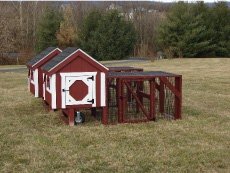3 x 4 A-frame Chicken Coop