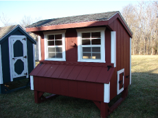 4 x 6 Quaker Red